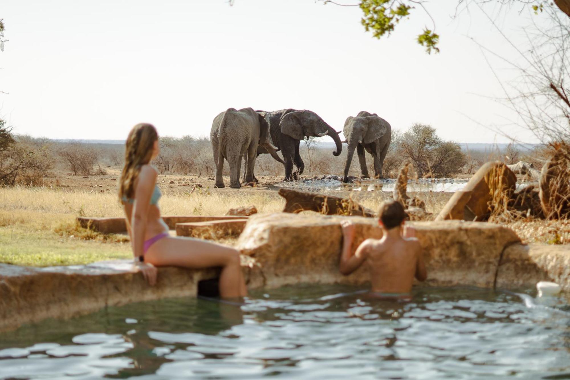 Last Word Madikwe Villa Madikwe viltreservat Exteriör bild