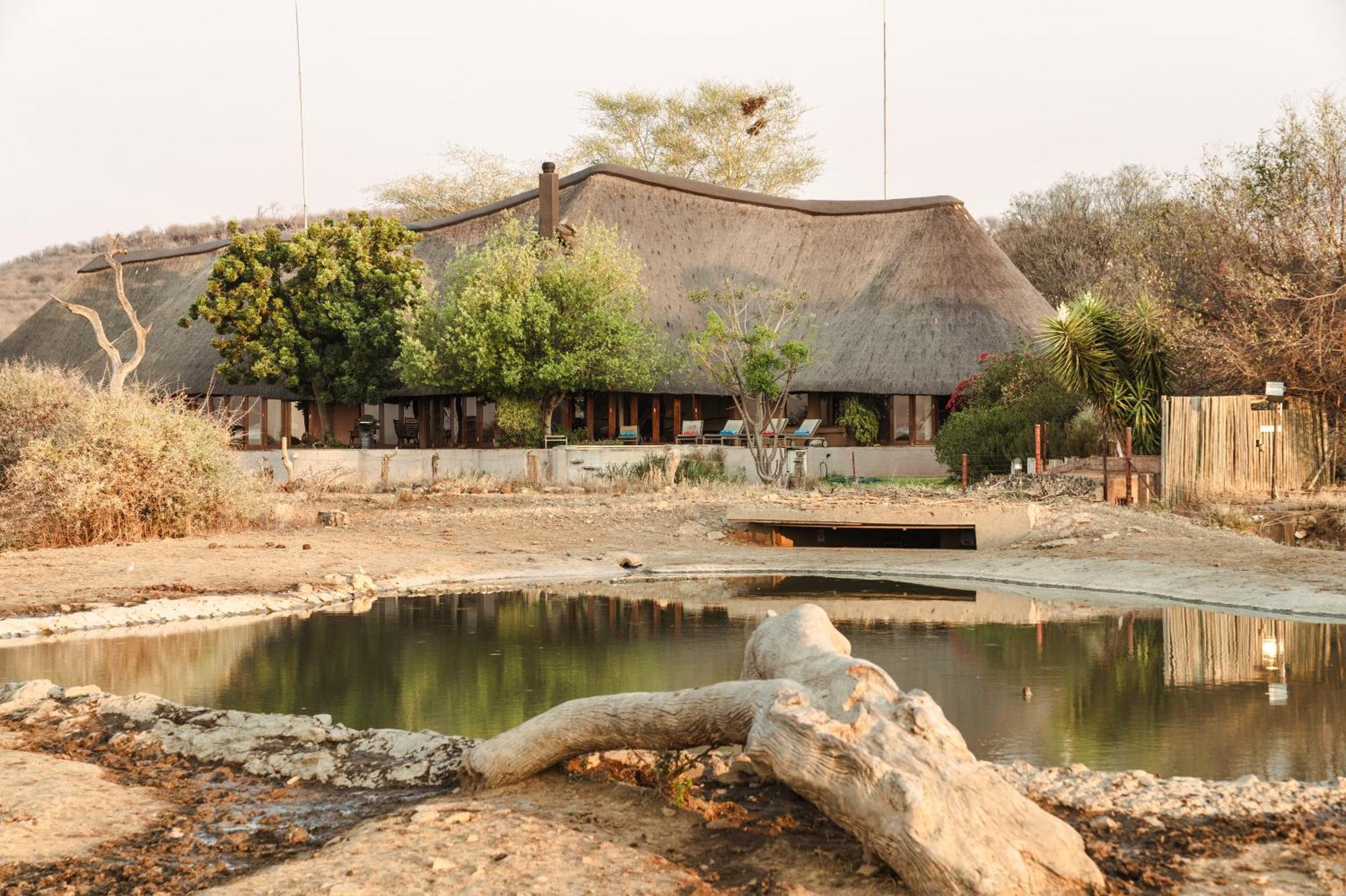 Last Word Madikwe Villa Madikwe viltreservat Exteriör bild